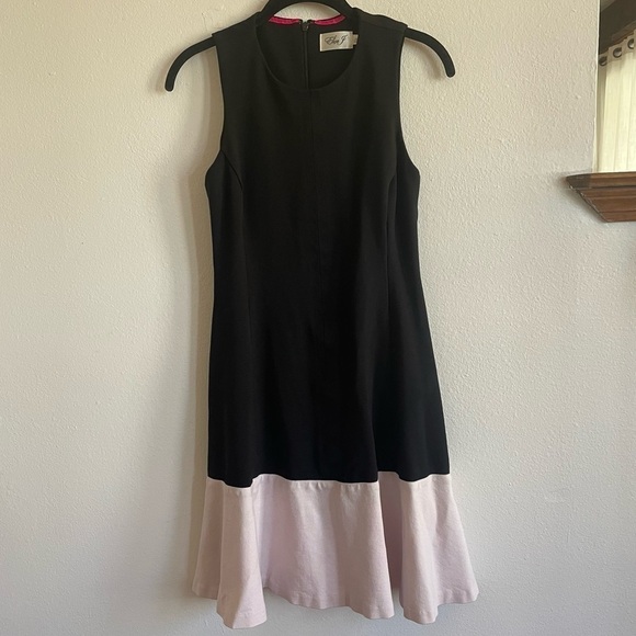 ELIZA J COLOR BLOCK FIT & FLARE DRESS - Picture 1 of 7